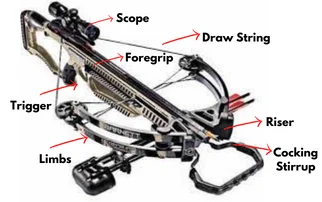 compound crossbow components