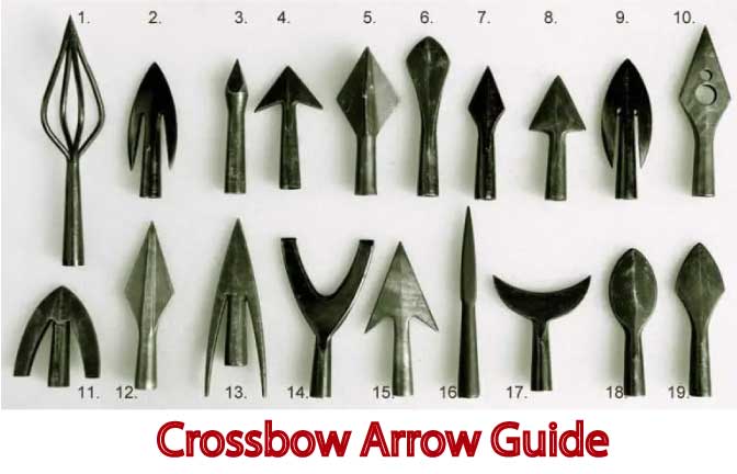 crossbow-arrow abd bolts -tips