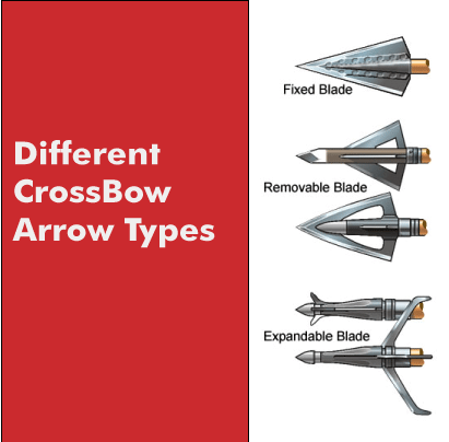 crossbow-arrow-tips-